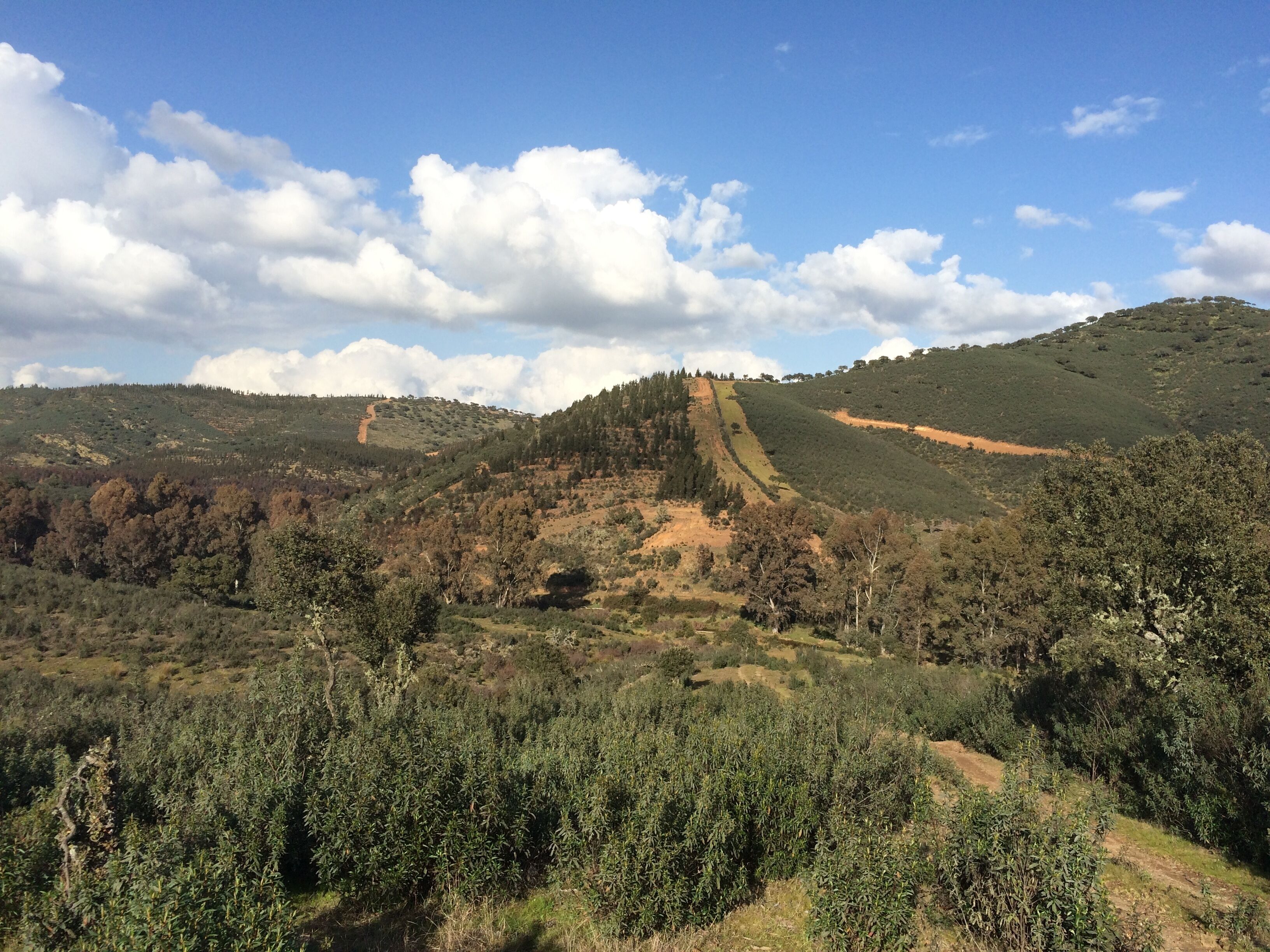 Vistas Arroyo Valquemado