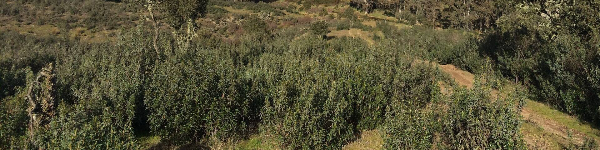 Vistas Arroyo Valquemado