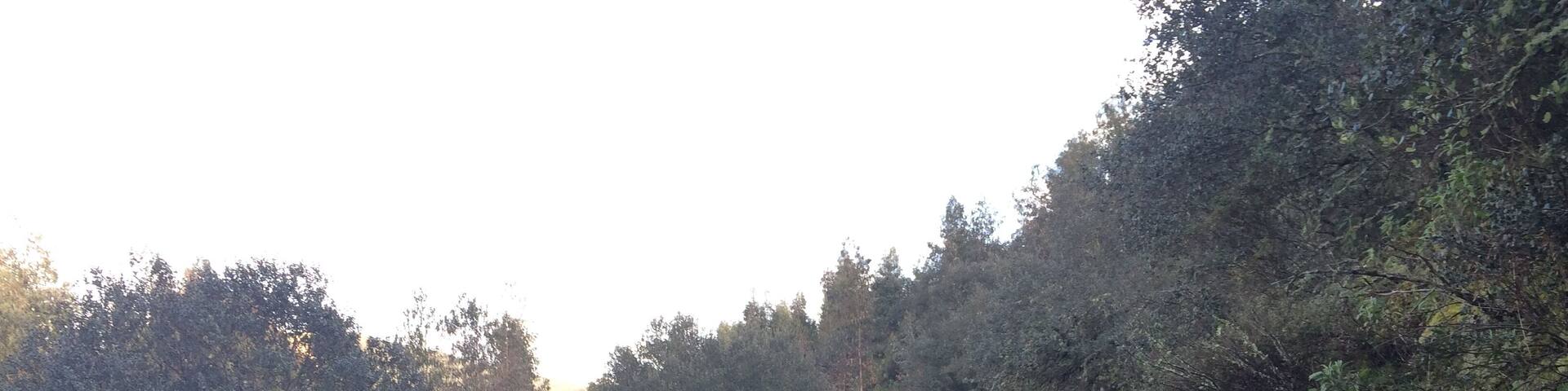 Caminho Arroyo Pedro Gil