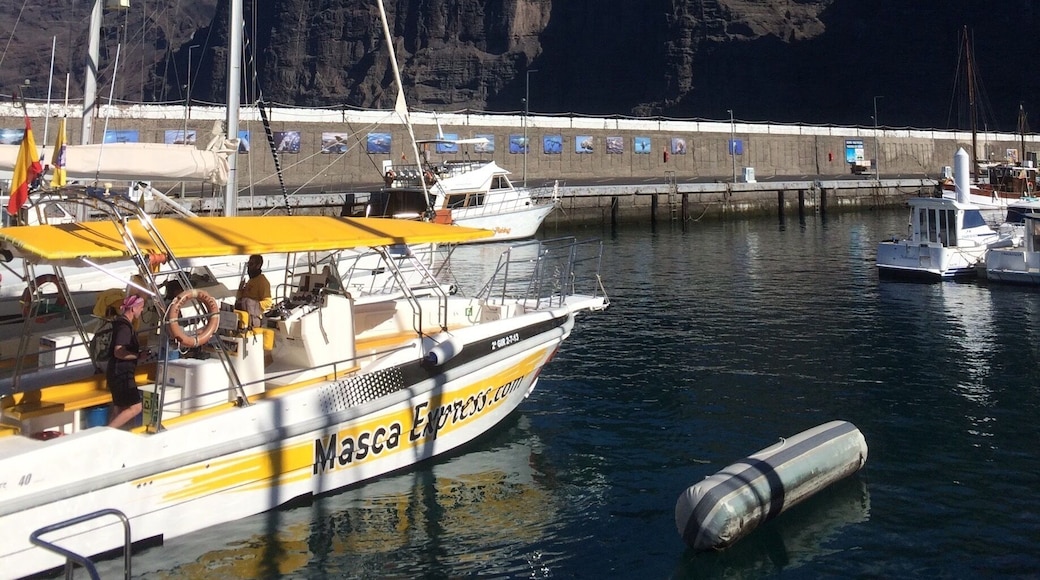 The harbour and cliffs at Los Gigantes