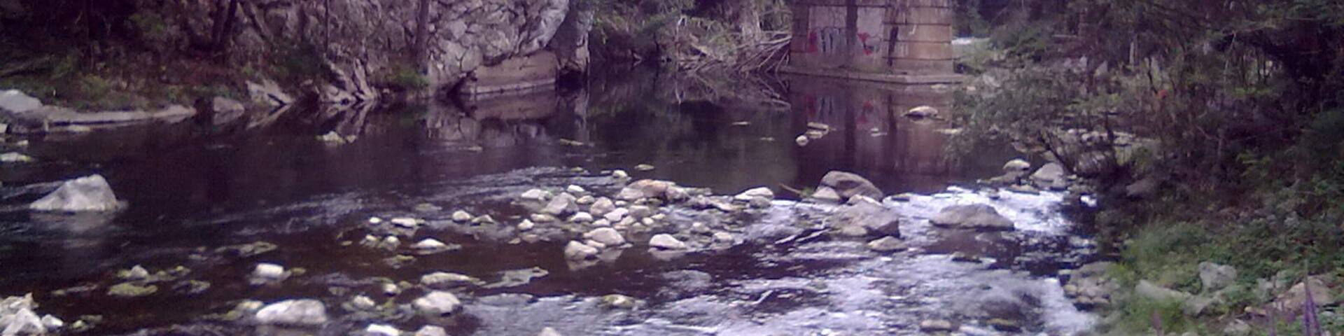 Rio Nalón entre Olloniego y Soto de Ribera