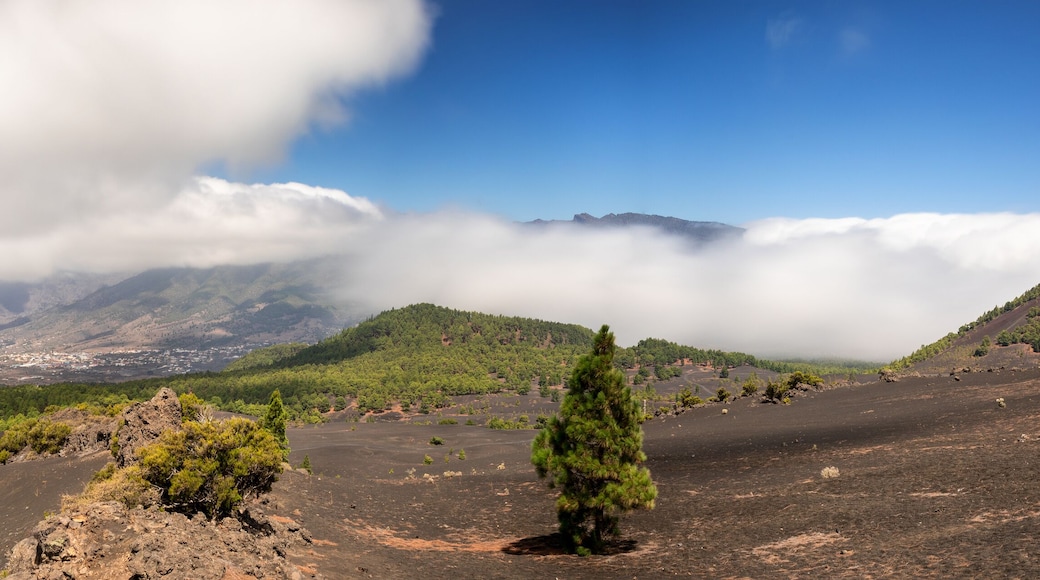 Panorama of the caldera of La Palma