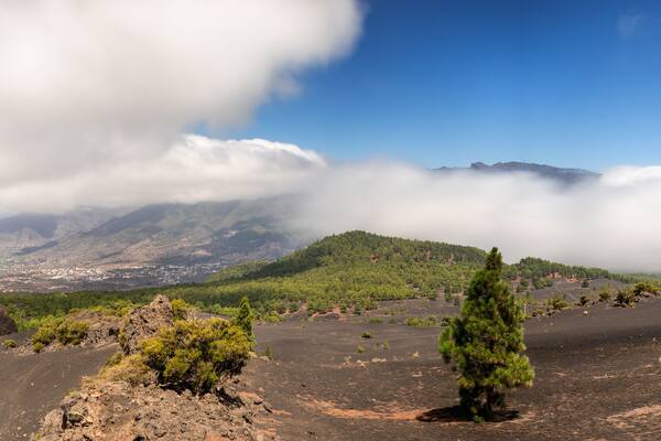 Panorama of the caldera of La Palma