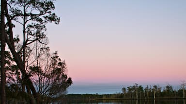 What an amazing place to watch the sunrise. #localgem