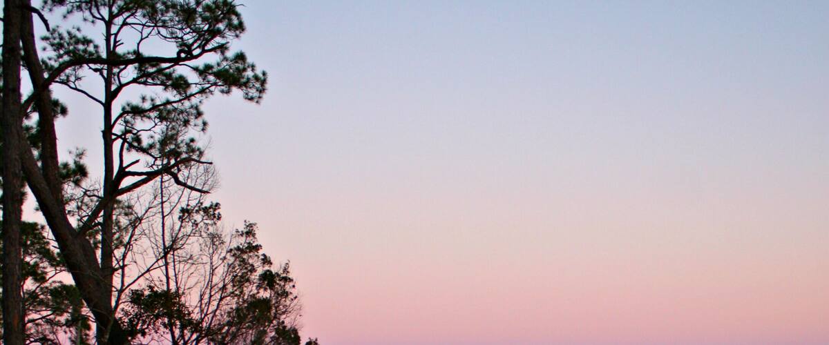 A calm lake at dusk with trees silhouetted against a pink sky.