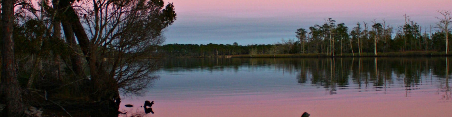 A calm lake at dusk with trees silhouetted against a pink sky.