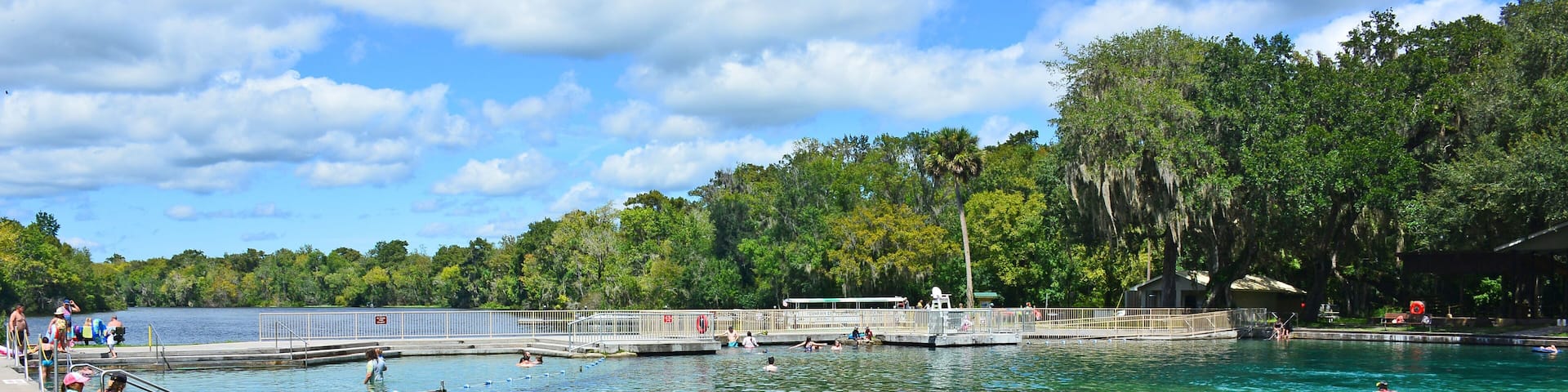 A swimming pool surrounded by trees and a bench.