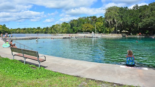 Large freshwater swimming area at the De Leon springs on a hot summer day near Deland just north of Orlando, Florida