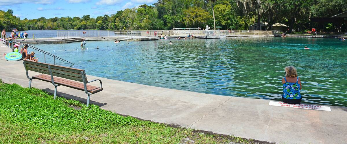 A swimming pool surrounded by trees and a bench.