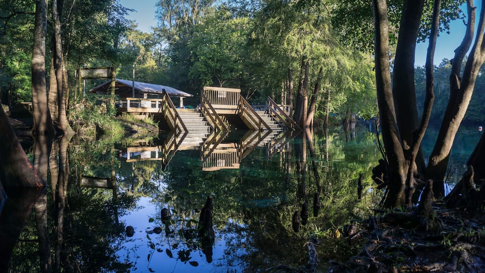 Wooden staircase going down in the turquoise water in a lagoon of Ginnie Springs. Cypress forest in Santa Fe river. Left side