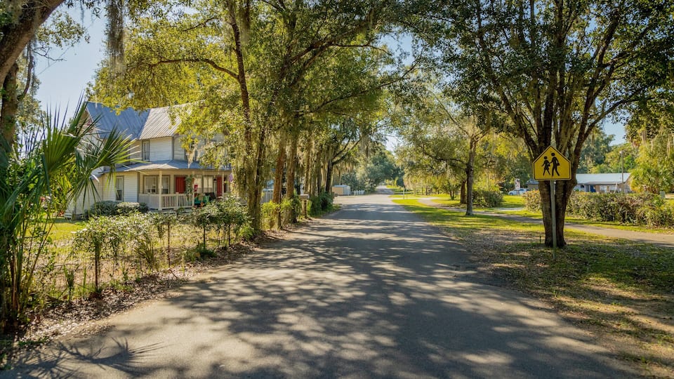 A tree-lined street with a pedestrian crossing sign.