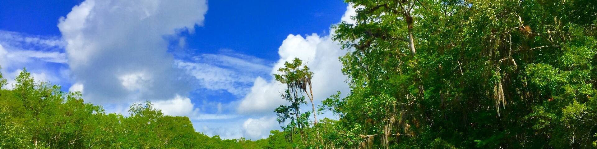 Ocklawaha River Florida