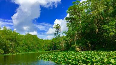 Ocklawaha River Florida
