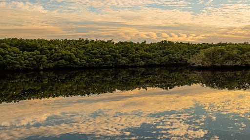 Mirrored Evening Clouds on the Loxahatchee River