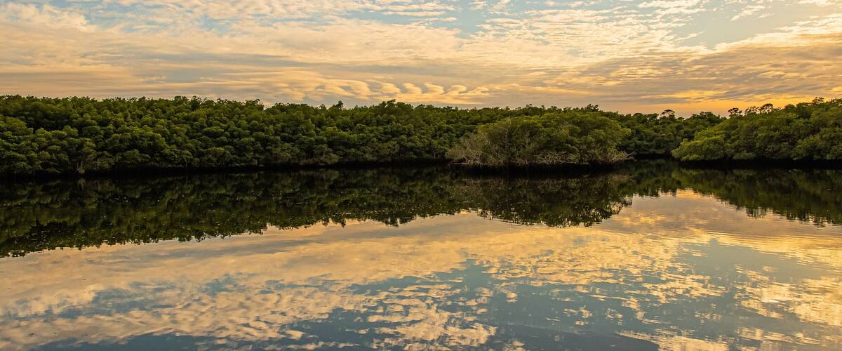 A calm lake reflecting trees and a cloudy sky.