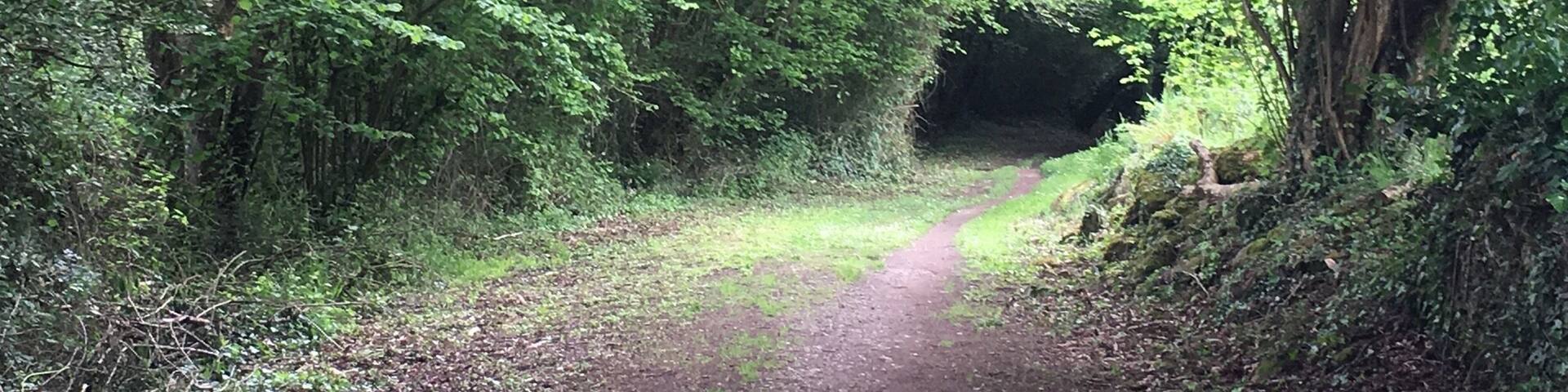 You will ascend into your own soul and discover who you are.