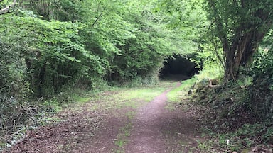 You will ascend into your own soul and discover who you are.