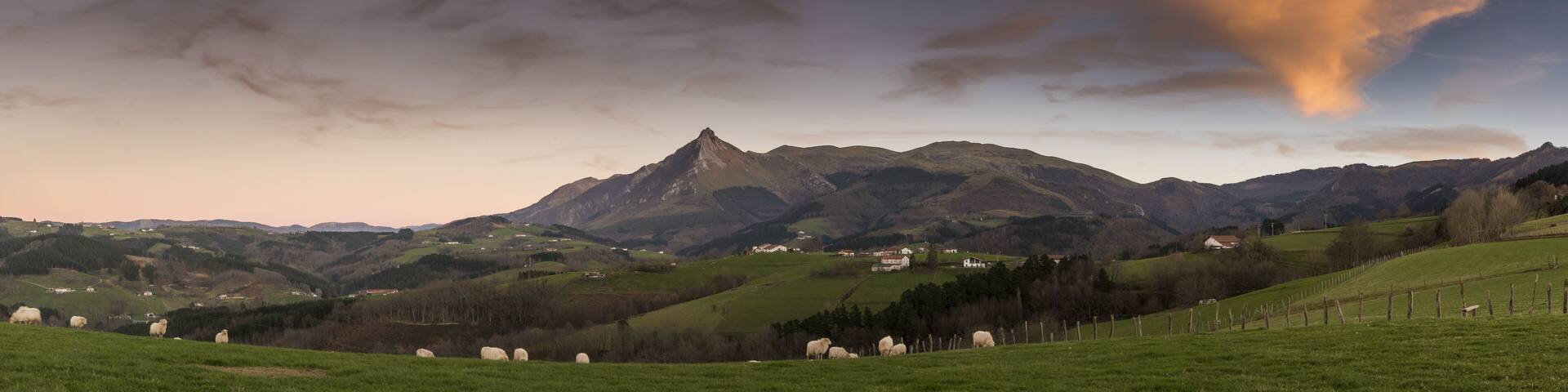 A mountain range with a prominent peak, green fields, and scattered sheep.