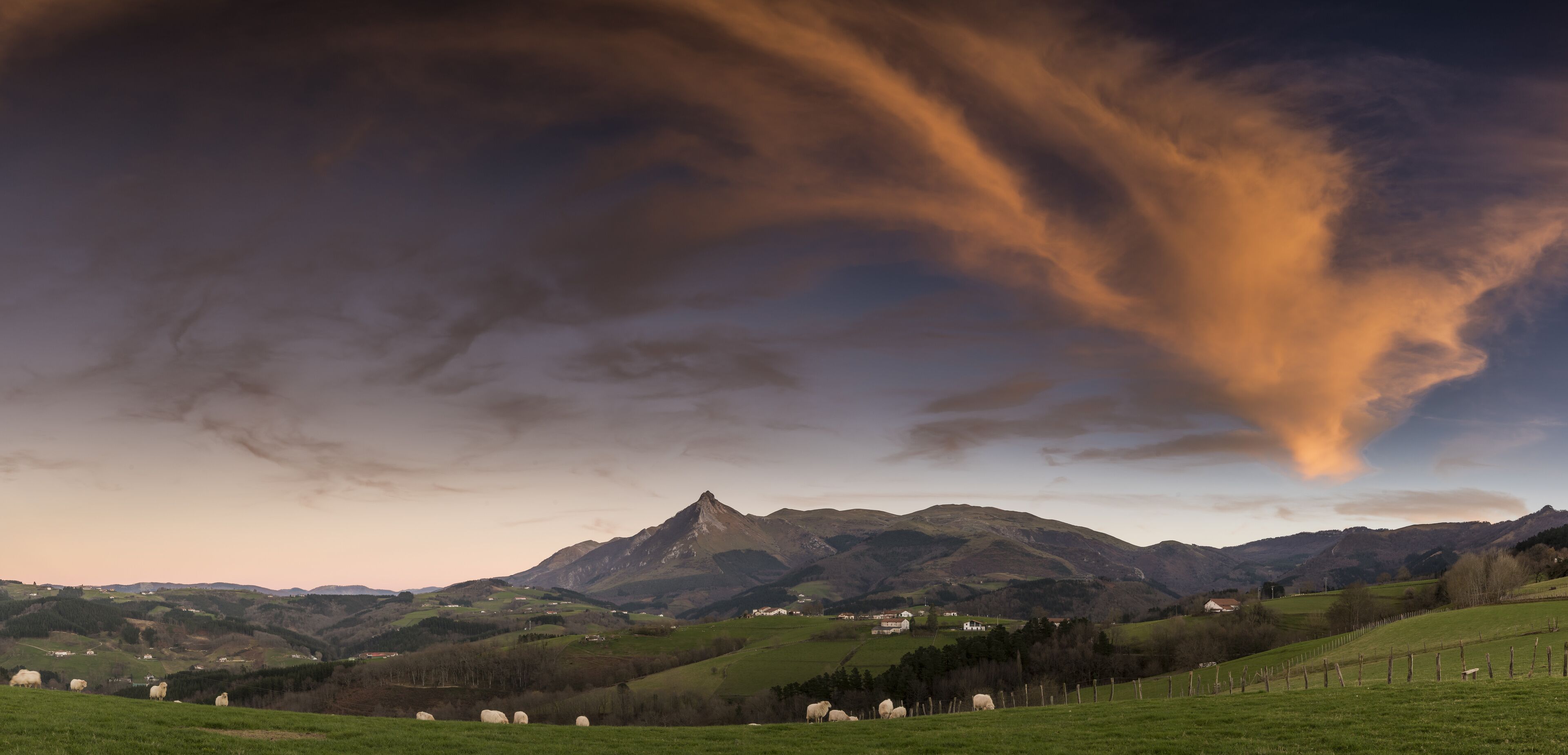 A mountain range with a prominent peak, green fields, and scattered sheep.
