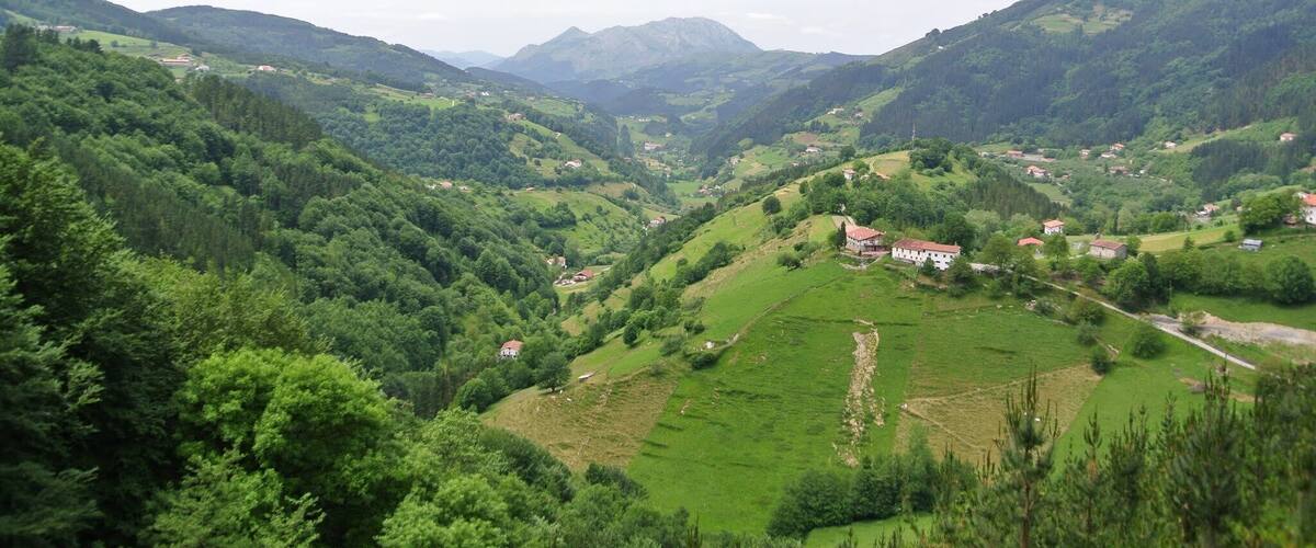 A lush valley with rolling hills, scattered houses, and dense forests.