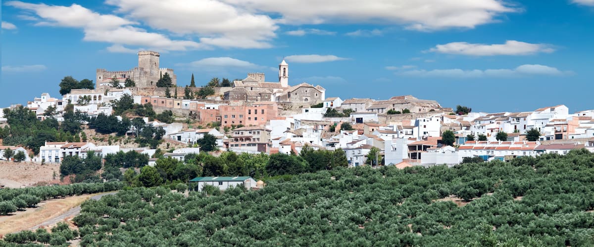 A historic town with a castle, olive groves, and white buildings.