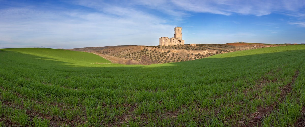 A castle on a hill with green fields in the foreground.