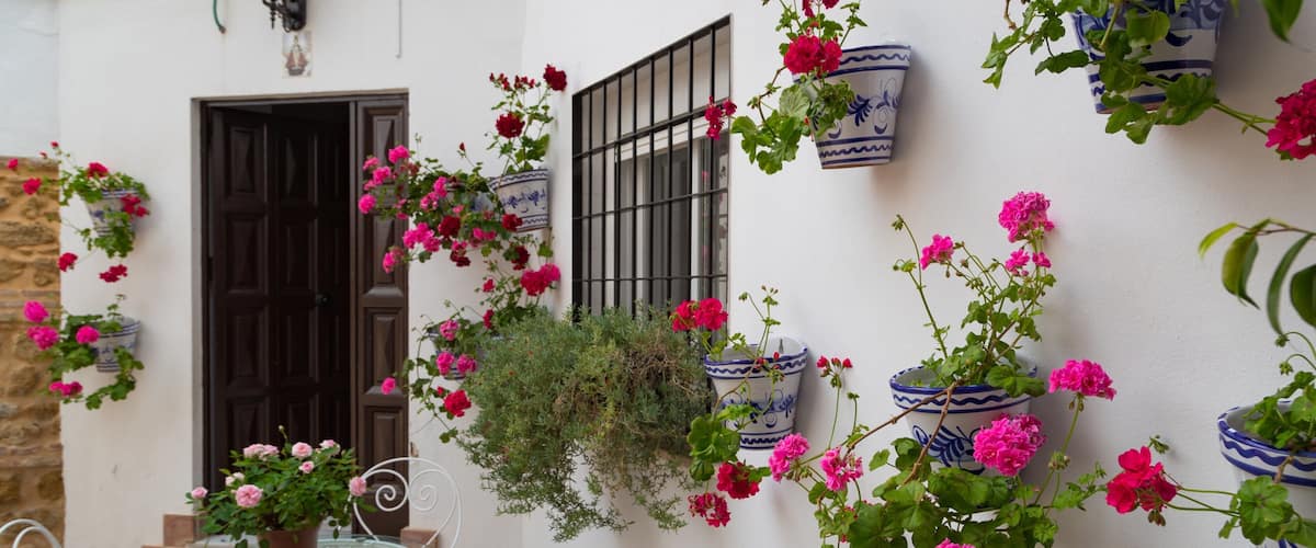 Cordoba Old City featuring a house and flowers