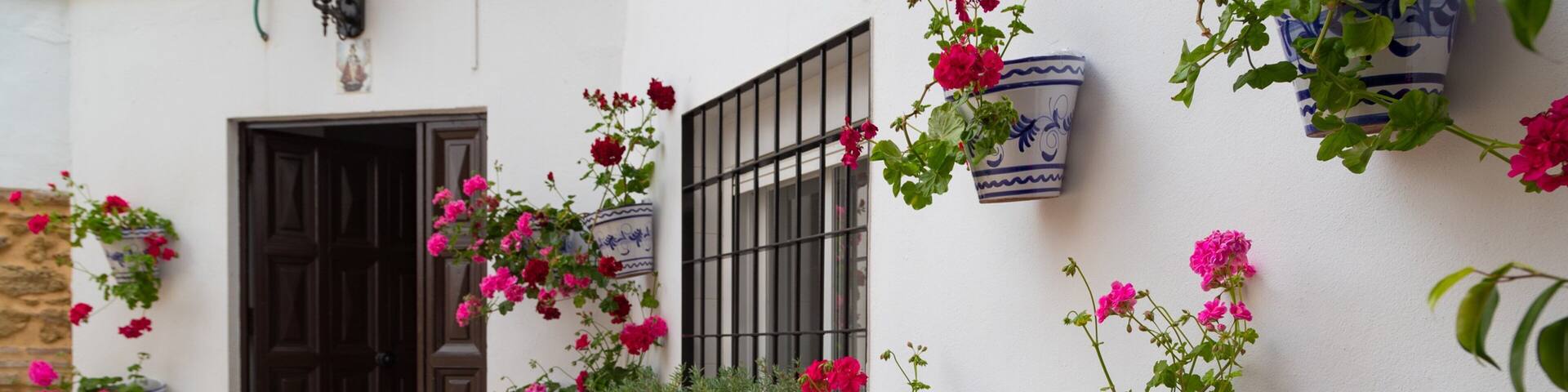 Cordoba Old City featuring a house and flowers