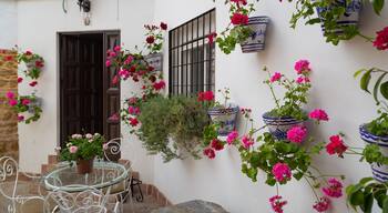 Cordoba Old City featuring a house and flowers