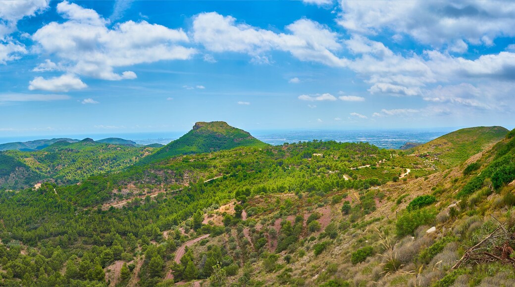 Panoramic view of the Sierra Calderona. Sagunto. Valencia. Landscape with small mountains full of pine trees. Spain