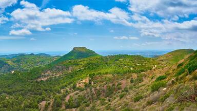 Panoramic view of the Sierra Calderona. Sagunto. Valencia. Landscape with small mountains full of pine trees. Spain