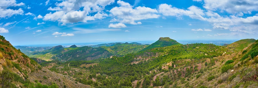 Panoramic view of the Sierra Calderona. Sagunto. Valencia. Landscape with small mountains full of pine trees. Spain