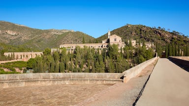 Calderona Sierra monastery Cartuja Portaceli
