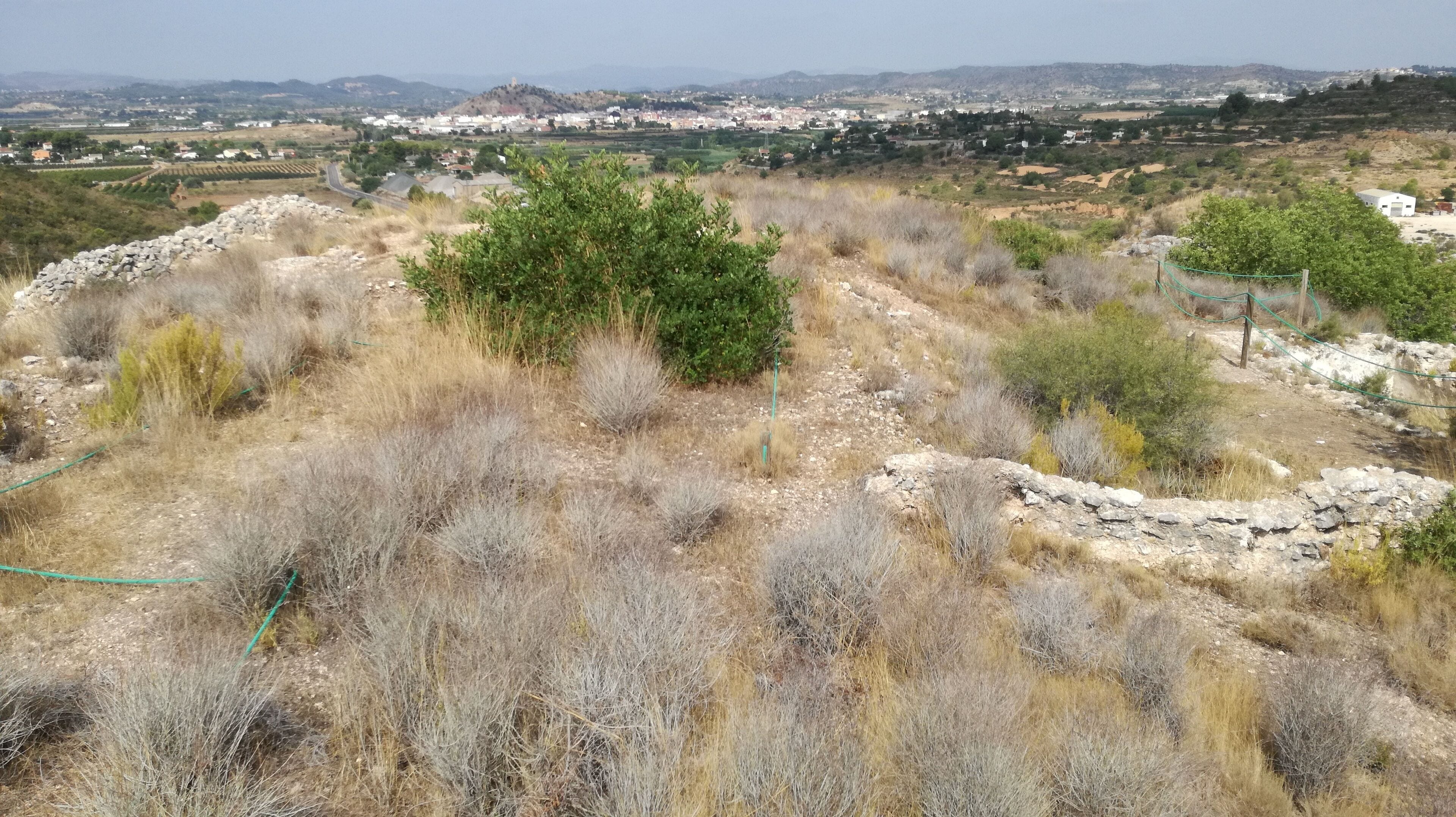 Vista del Castell dels Alcalans.