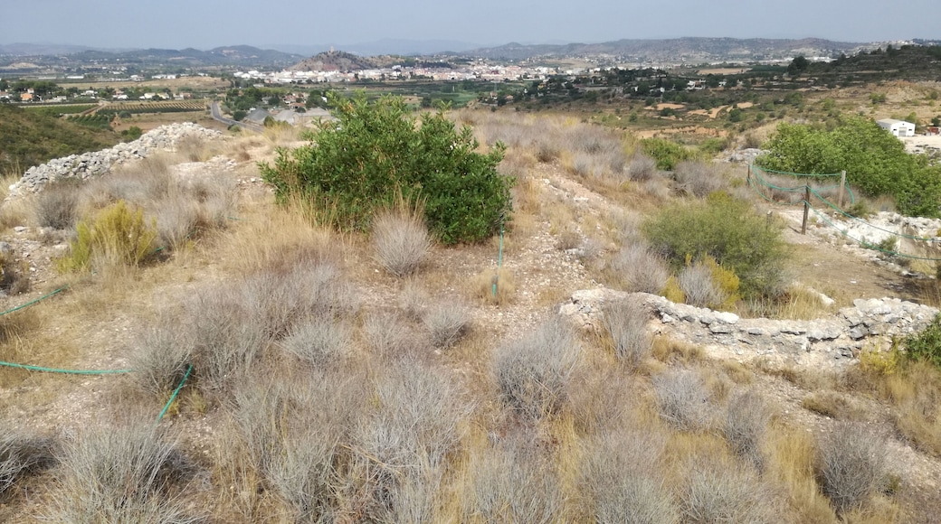 Vista del Castell dels Alcalans.