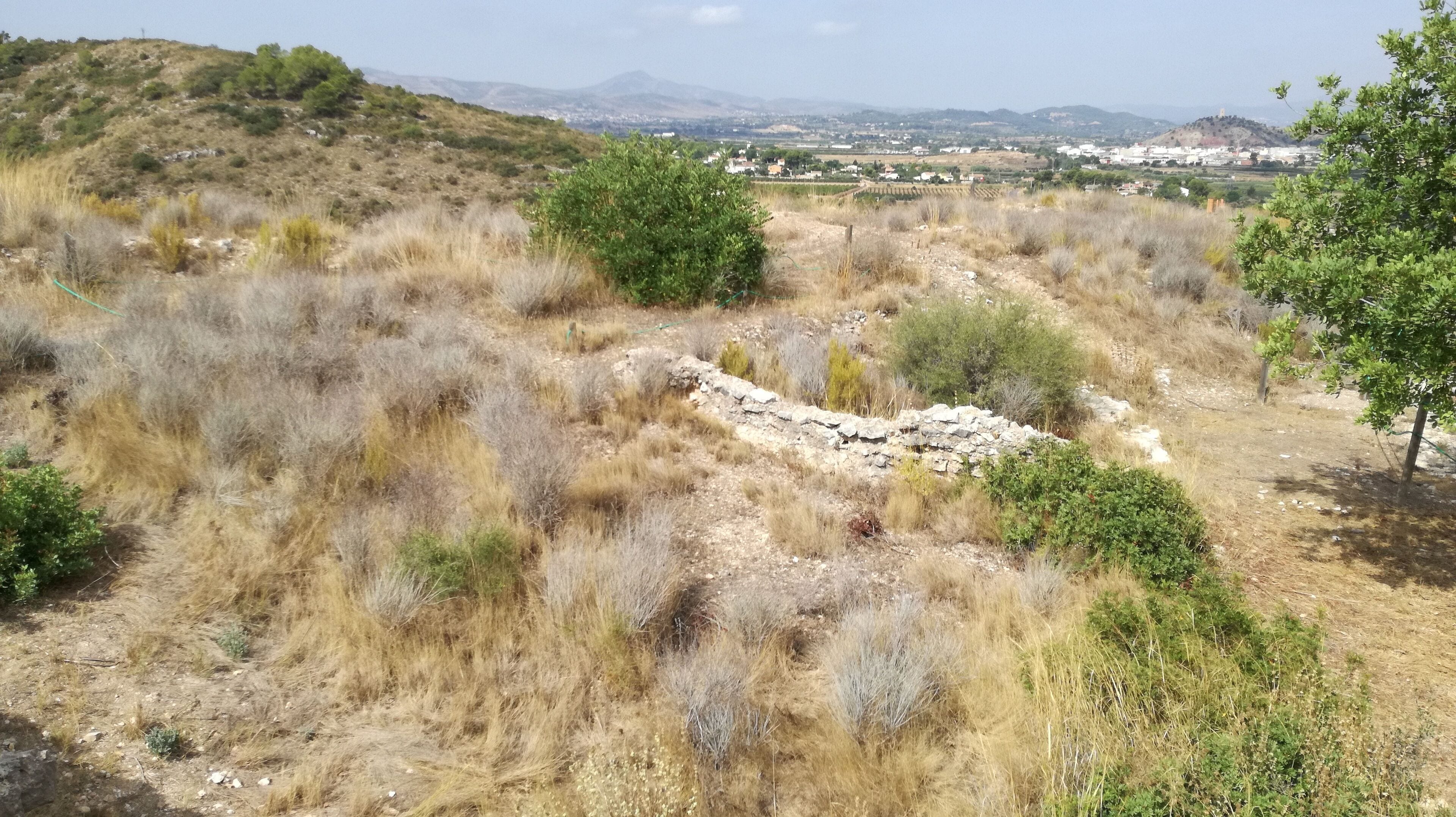 Vista del Castell dels Alcalans.