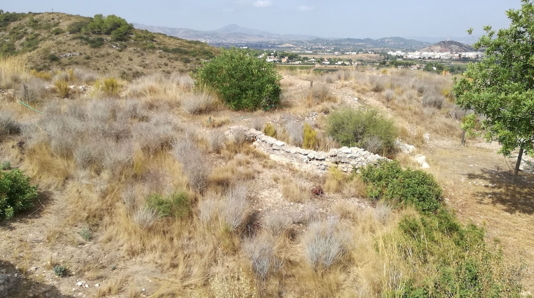 Vista del Castell dels Alcalans.