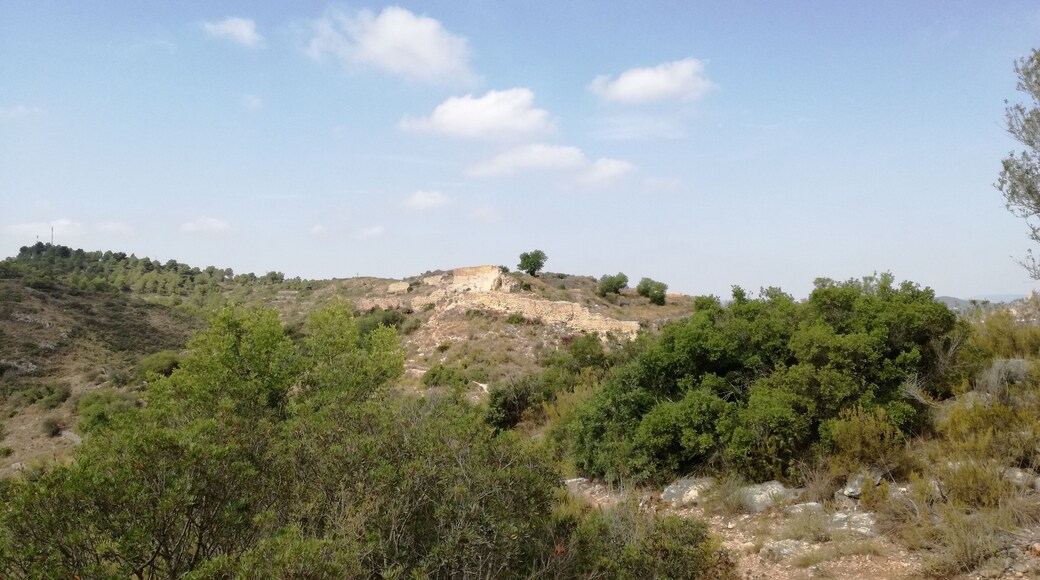 Vista del Castell dels Alcalans.