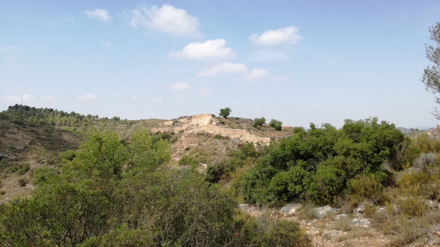 Vista del Castell dels Alcalans.