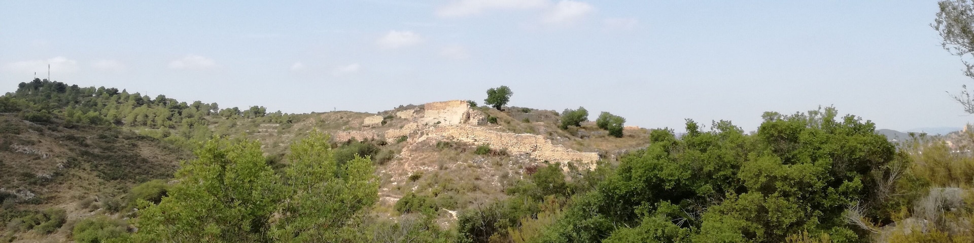 Vista del Castell dels Alcalans.