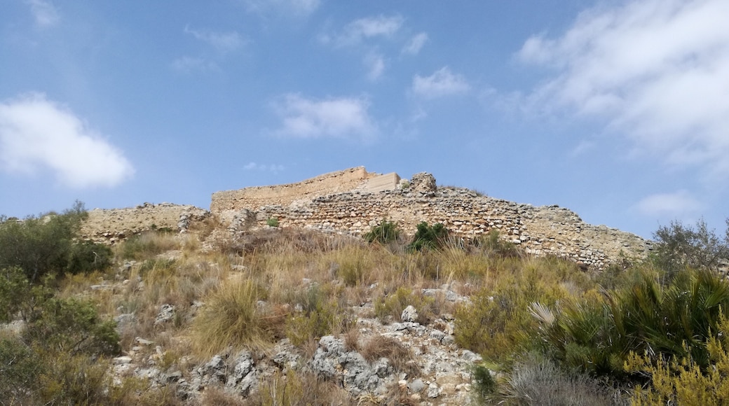 Vista del Castell dels Alcalans.