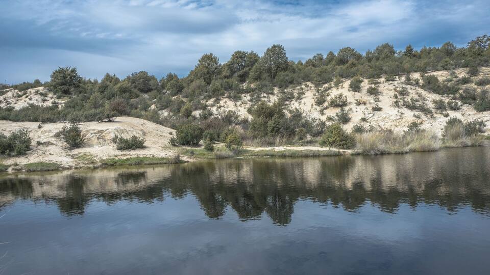 A calm lake with reflections of trees and a hilly landscape in the background.