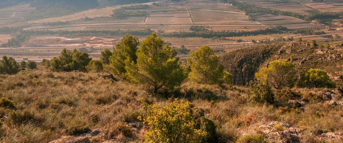 A hilly landscape with fields, trees, and distant mountains.