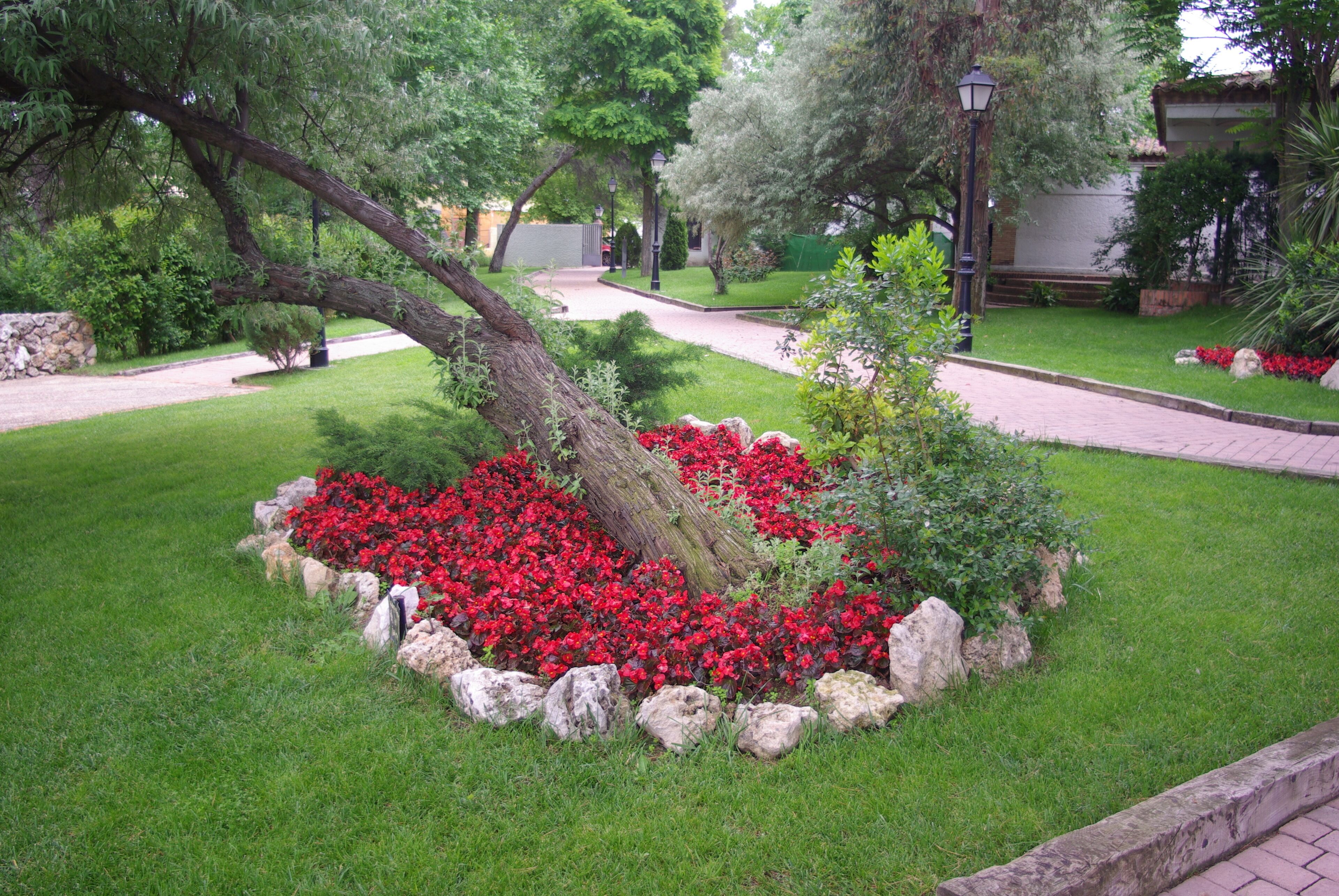 ® ALCALA DE HENARES JARDIN SOBRE EL RIO HENARES