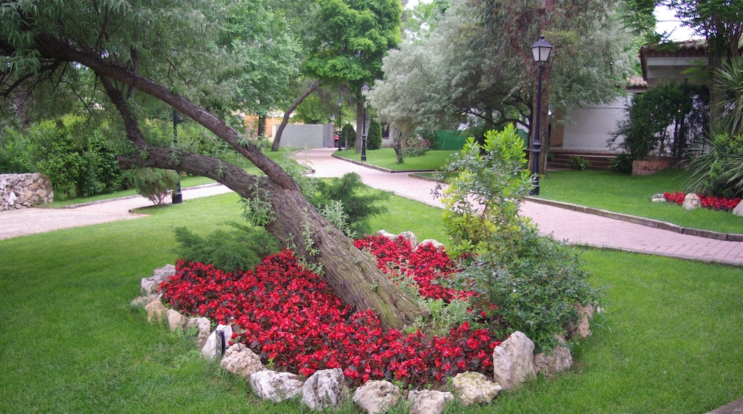 ® ALCALA DE HENARES JARDIN SOBRE EL RIO HENARES