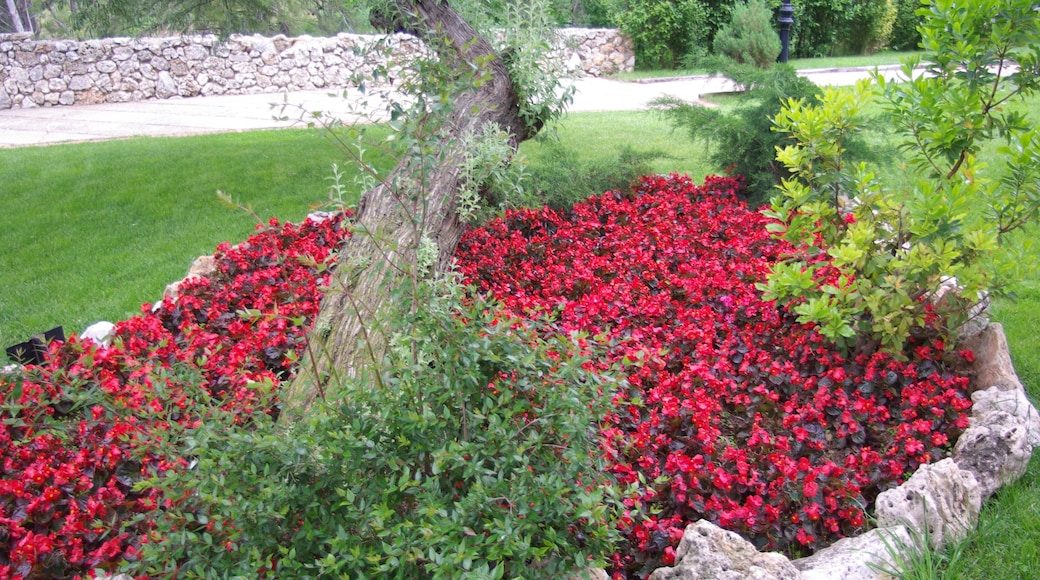 ® ALCALA DE HENARES JARDIN SOBRE EL RIO HENARES