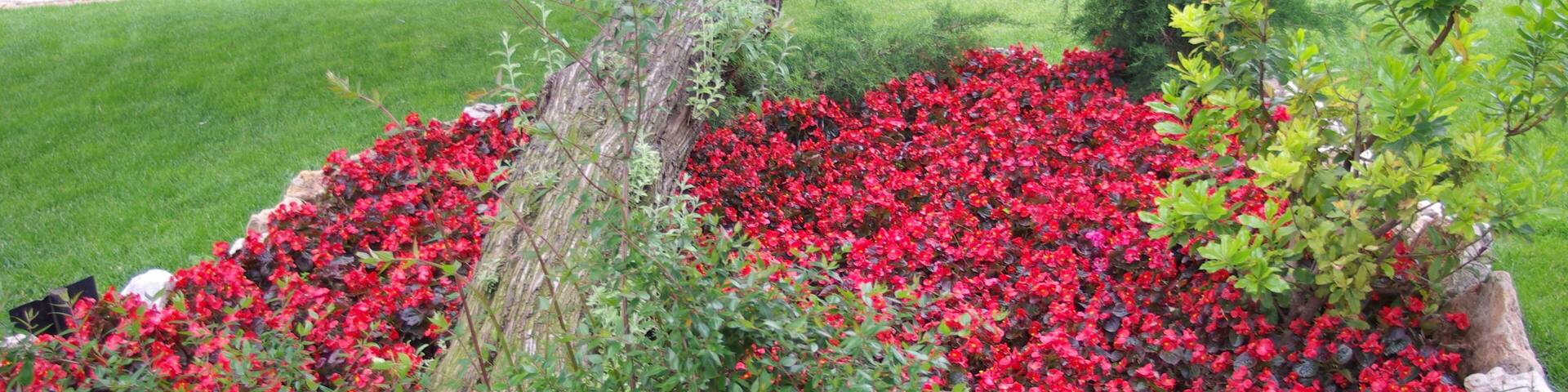 ® ALCALA DE HENARES JARDIN SOBRE EL RIO HENARES