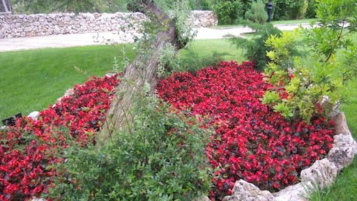 ® ALCALA DE HENARES JARDIN SOBRE EL RIO HENARES