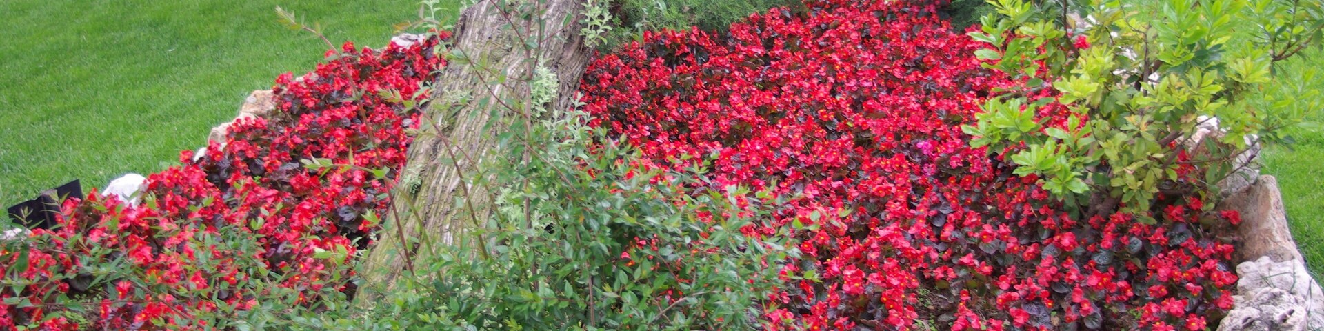 ® ALCALA DE HENARES JARDIN SOBRE EL RIO HENARES