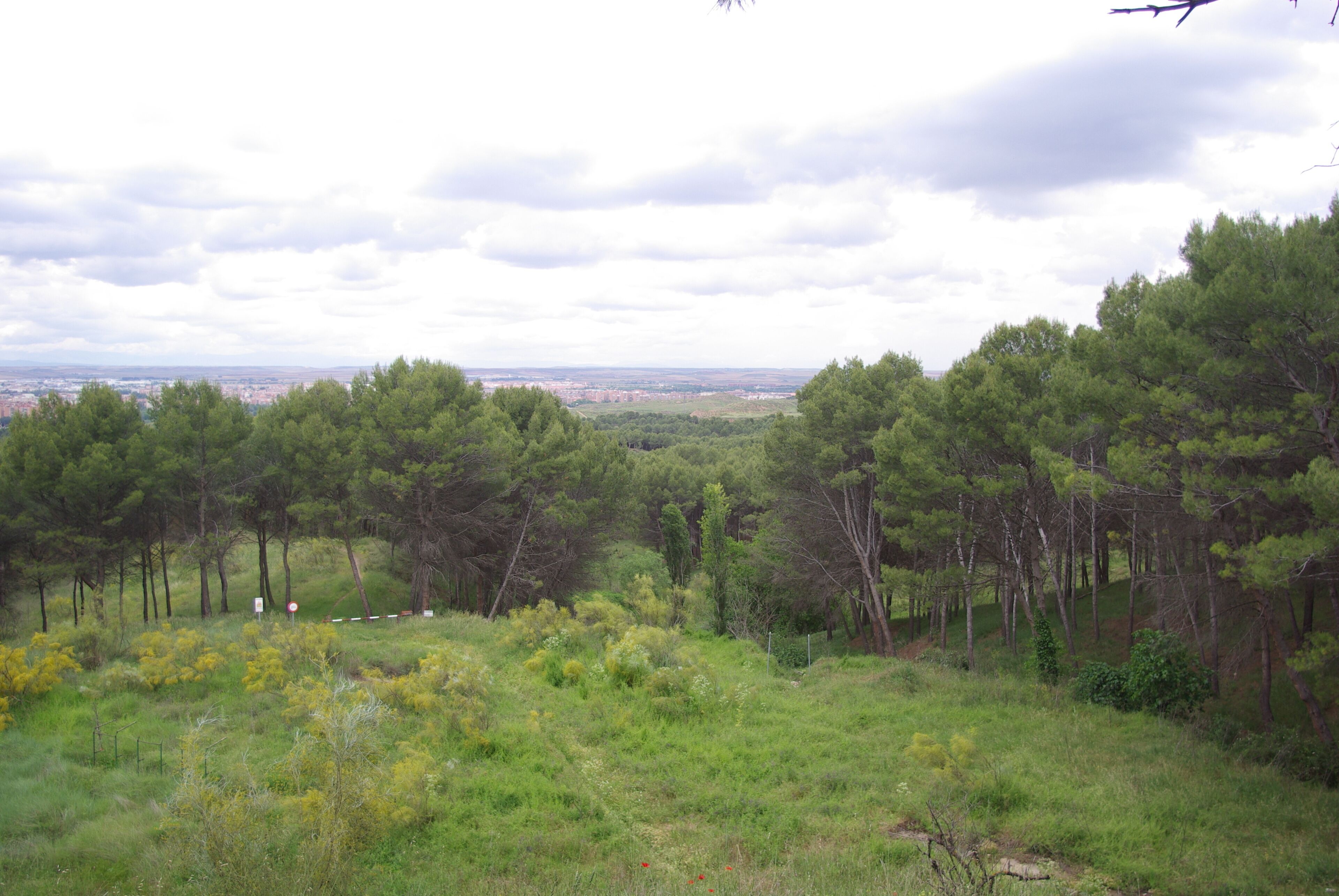 ® ALCALA DE HENARES JARDIN SOBRE EL RIO HENARES